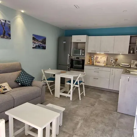 Renove Avec Terrasse, Climatisation Et Garage - 4 Couchages - - Fr-1-251-734 Apartment Le Lavandou